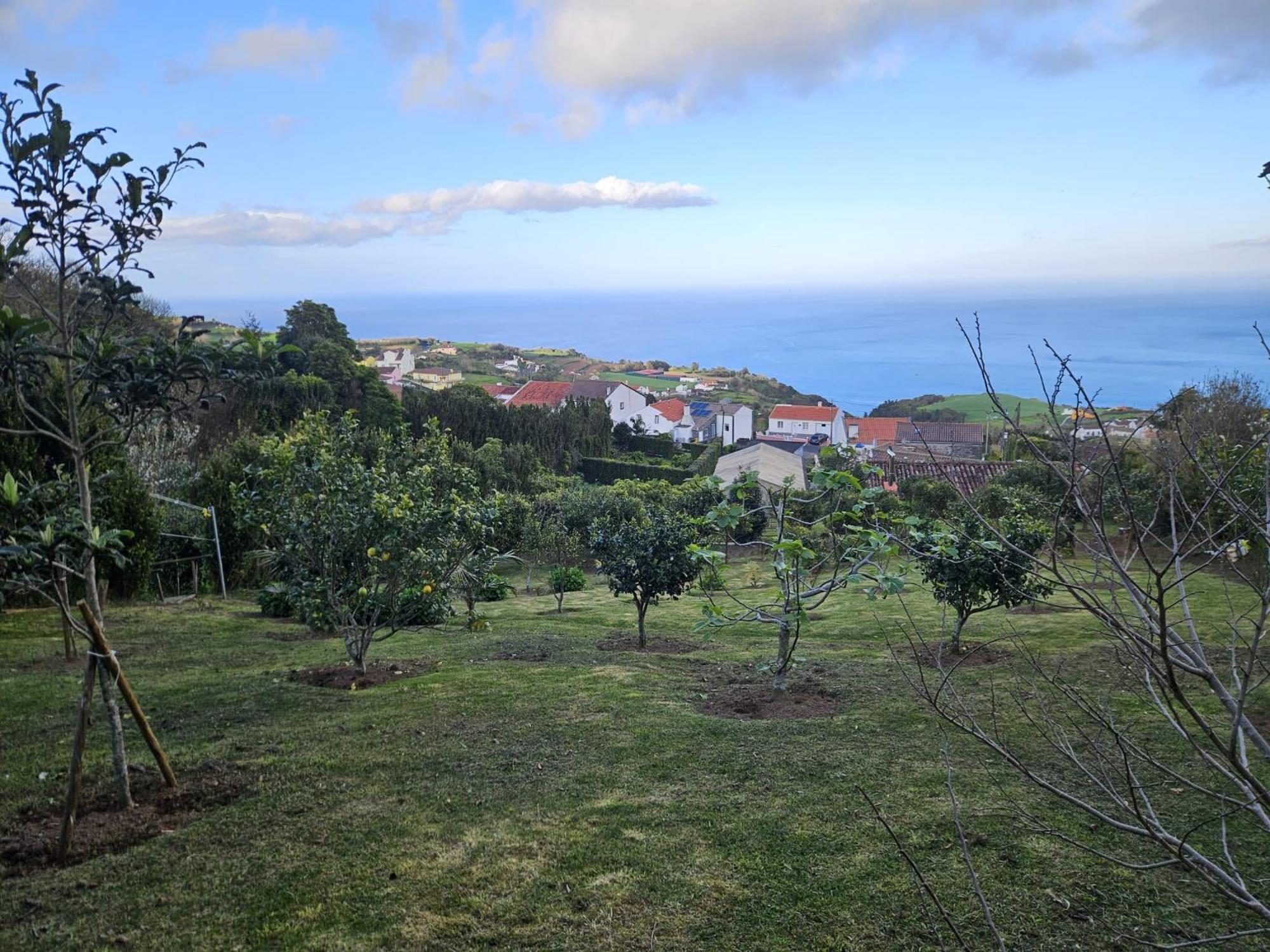 Casa do Castanheiro - Nordeste, Açores Nordeste (Azores) Exterior foto